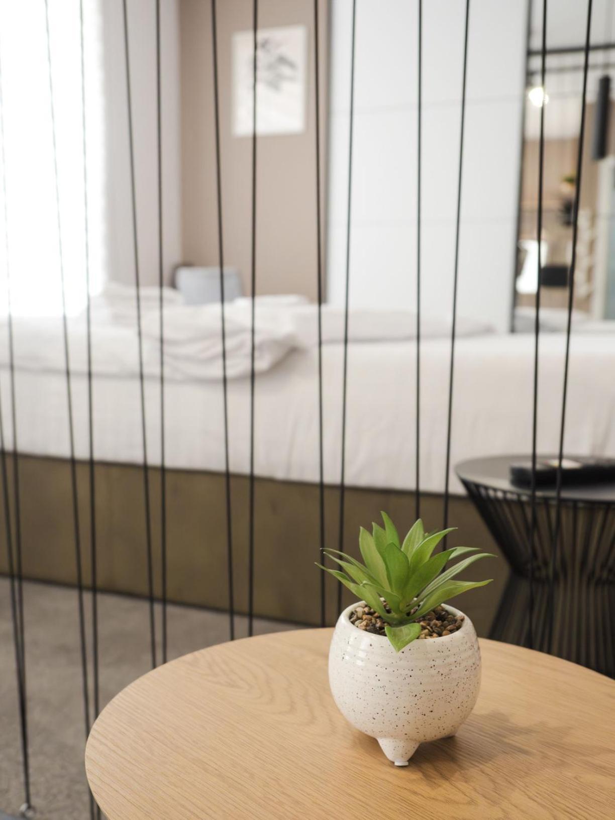 Gavas Cozy Studios Central David Prodan Cluj-Napoca Buitenkant foto
